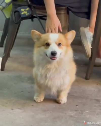 Oh, am I on camera?