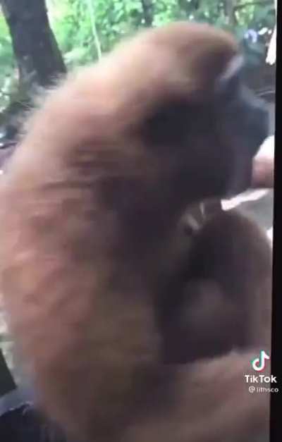 Ooooooooooooooo