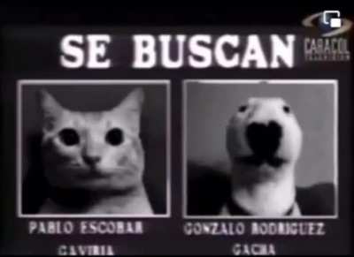 Narcotraficantes