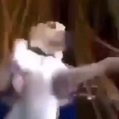 ?? ☹️💣