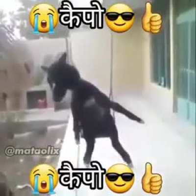😭😎👍🏿