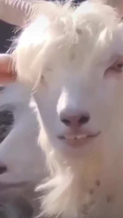Oof