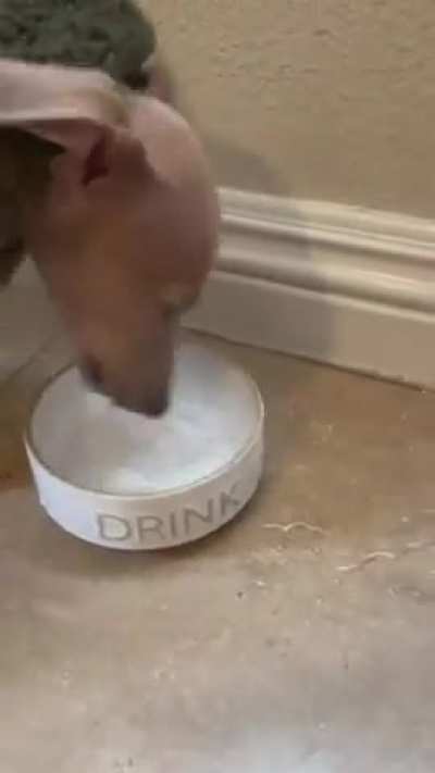 he does his best.