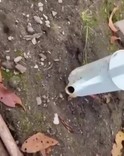 WHAT IS HAPPENING HERE..!!! My brain hurts