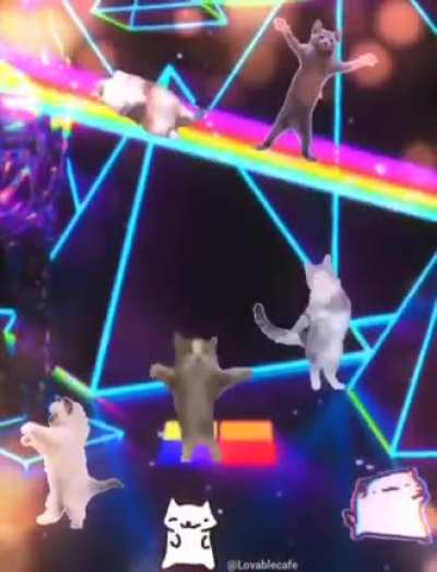 Cats