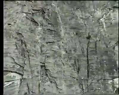 Dan Osman Speed Climbing