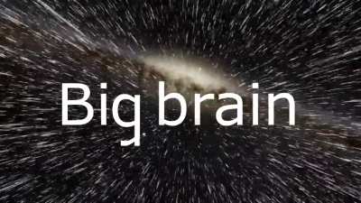 "Bird brain is big brain"