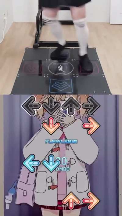 loser DDR