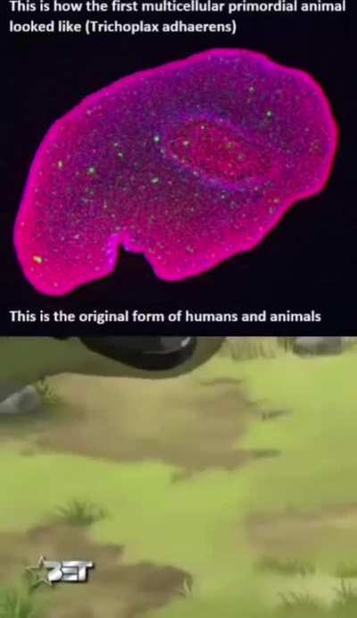 We are among us