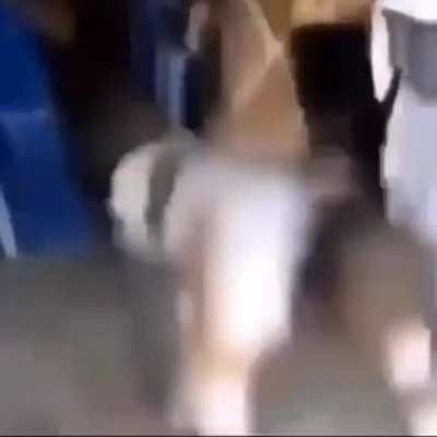 &ordf;