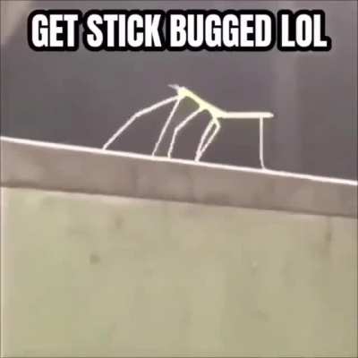 me_irl
