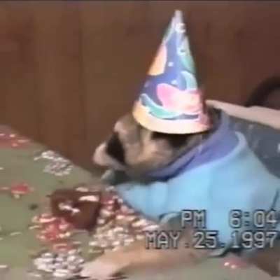 I know it&rsquo;s almost too late, but I wish this sweet little girl a happy birthday this May 25th, she would be 25 this year.