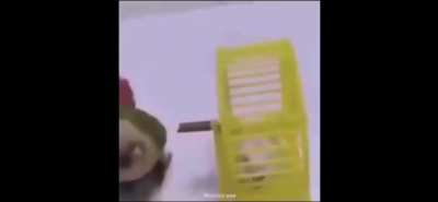 I don't wanna go!