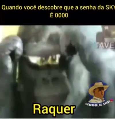 Perdão por ter sumido glr kkkkkk
