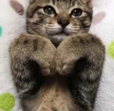 Be my Valentine