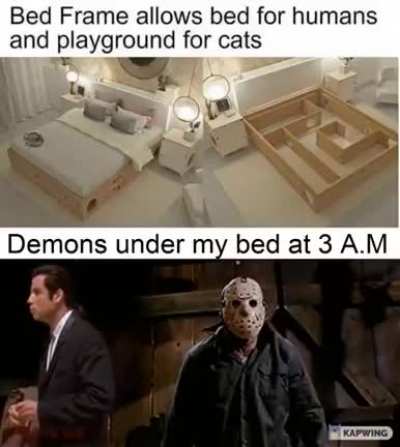 When the cat starts hiding dead animals in it.