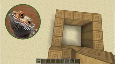 "Spikey" the bearded dragon playing Minecraft in his vivarium