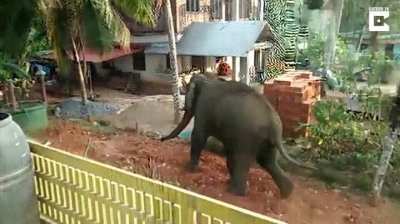 Not A Normal Day in India!