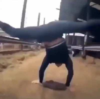 hip hop ucraniano