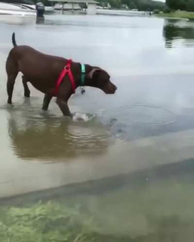 "Nope, I don't like this anymore"