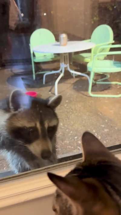 Second time posting, but the sound gives the full story of what is actually happening&hellip;