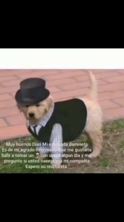 🧐🥂🍾