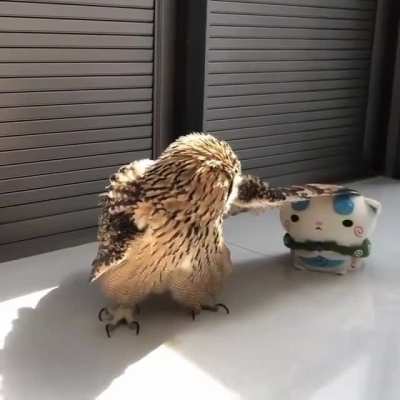 This is my Toy!