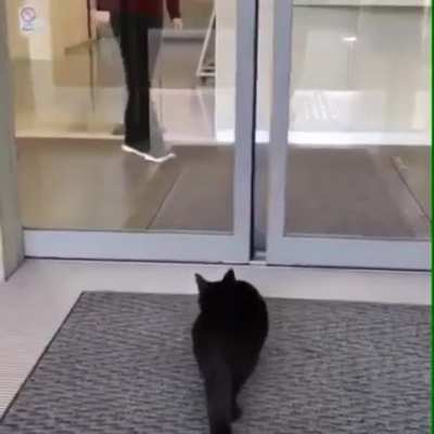 A day at the museum