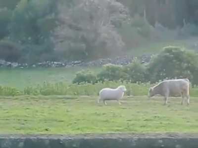 Maybe maybe maybe