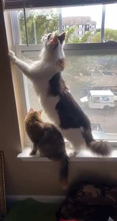 My UNIT towering over his elder of 2 years.