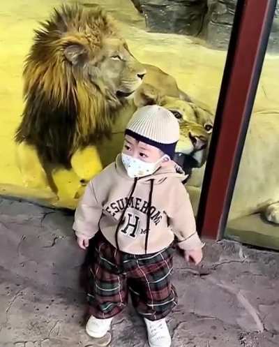 to eat a small child