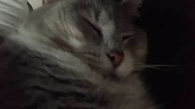 Wife kept saying my snoring was waking her up but as it turns out&hellip;.