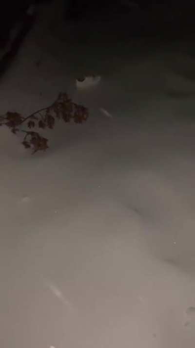 WCGW kicking snow