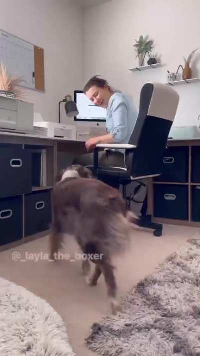 😄😂