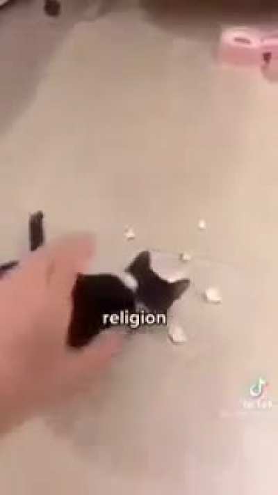 >Yall