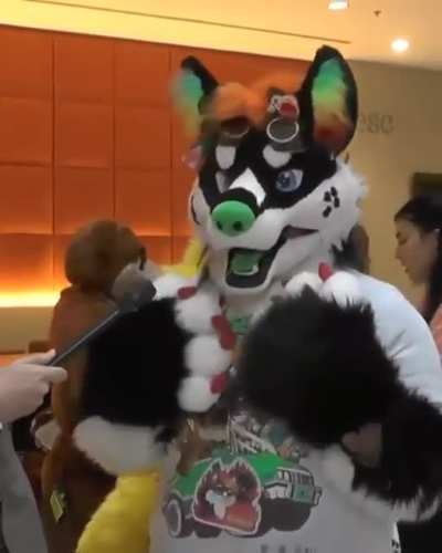 Furry alert