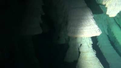 I&rsquo;m an avid scuba diver and have always loved the ocean. This still freaks me out. Thought it belonged here