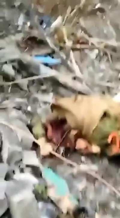 Kadyroviets have gotten into some trouble somewhere in Ukraine