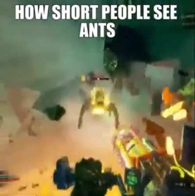 Kid named anteater