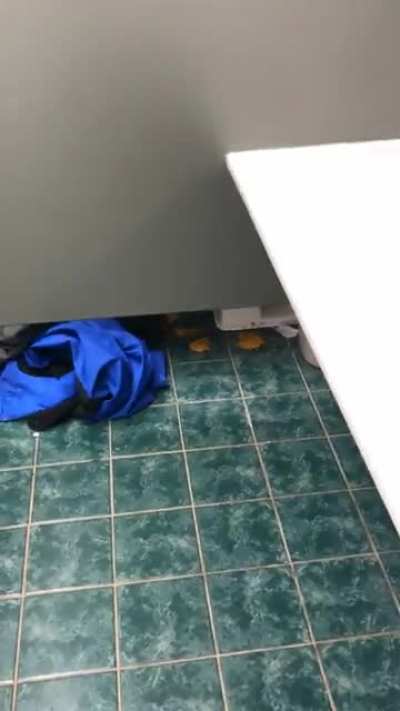 Washing my hands at work and I hear a loud &ldquo;plop!&rdquo; on the floor. What a surprise when I turn around