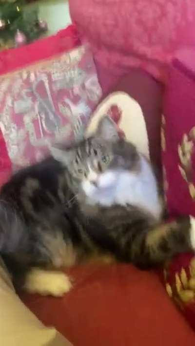 Butt slaps