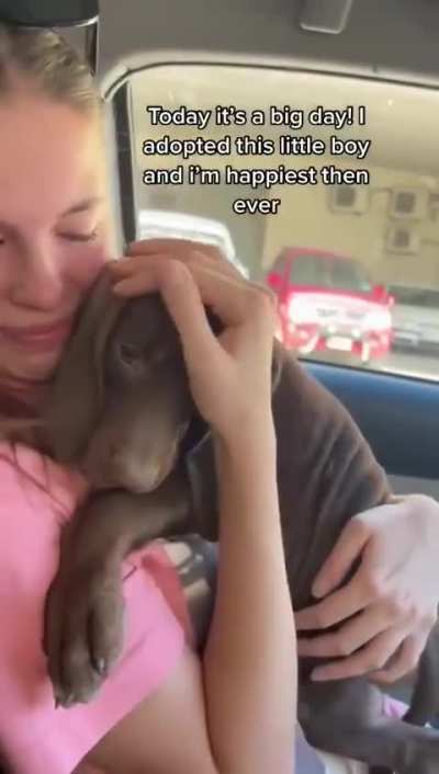 Adopt, Don't Shop