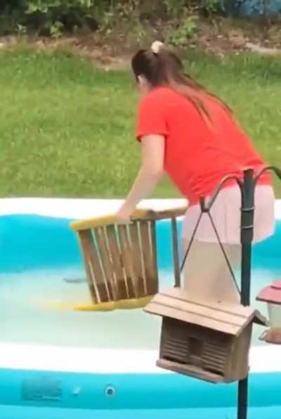 Rescue Rangers