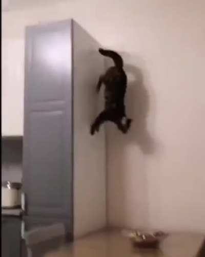 Тыгыдык