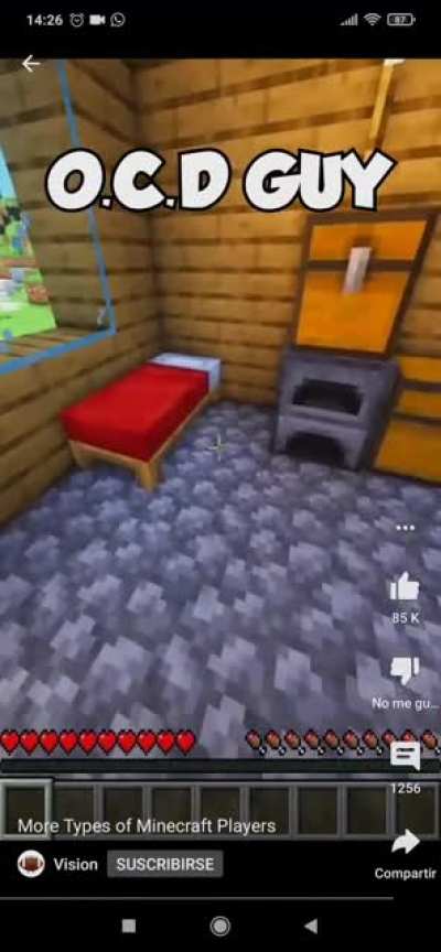 YouTube "Vision" 'More types of Minecraft Playera' (sry if repost)