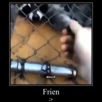 :D