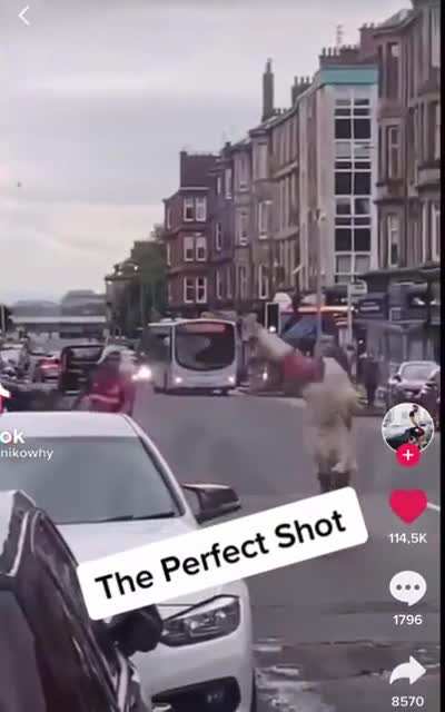 bullseye