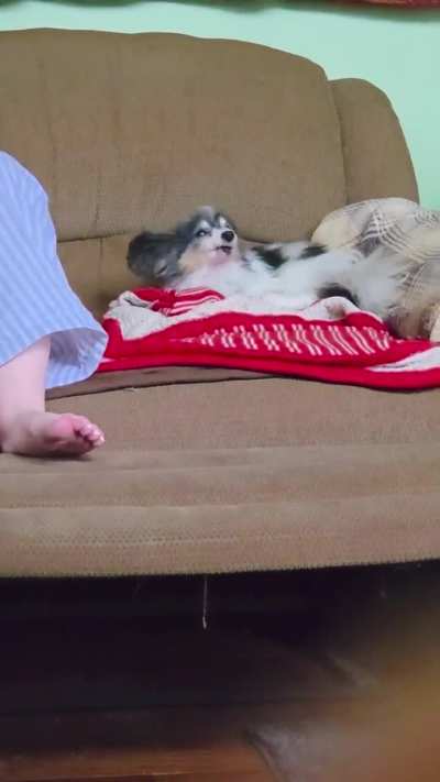 World's fastest mlem chain (timelapse)