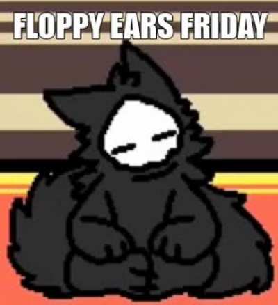 Floppy_irl