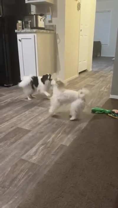 Can I play?